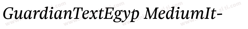 GuardianTextEgyp MediumIt字体转换